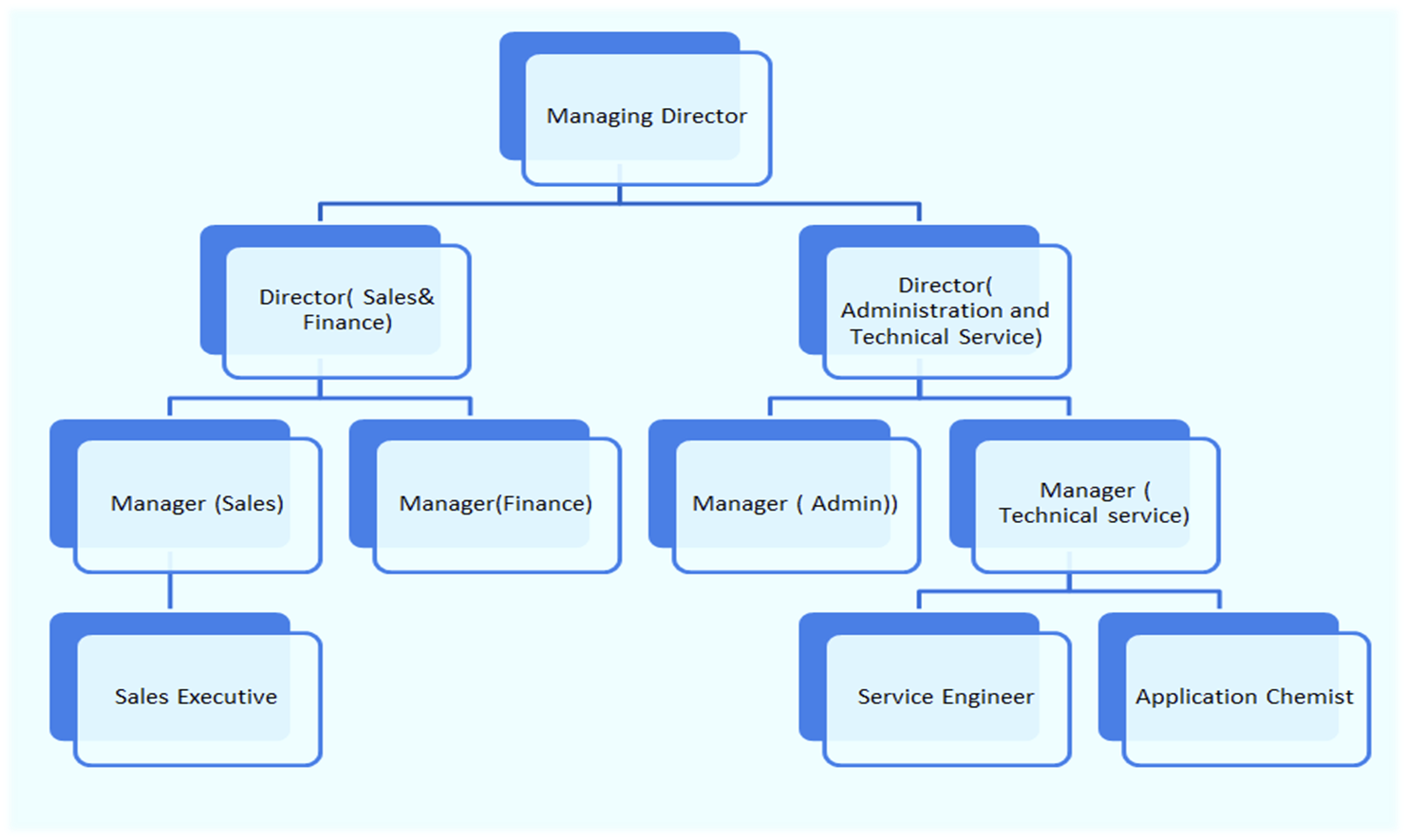 Organization Chart
