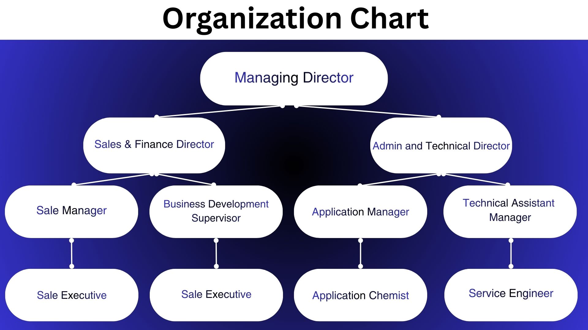 Organization Chart