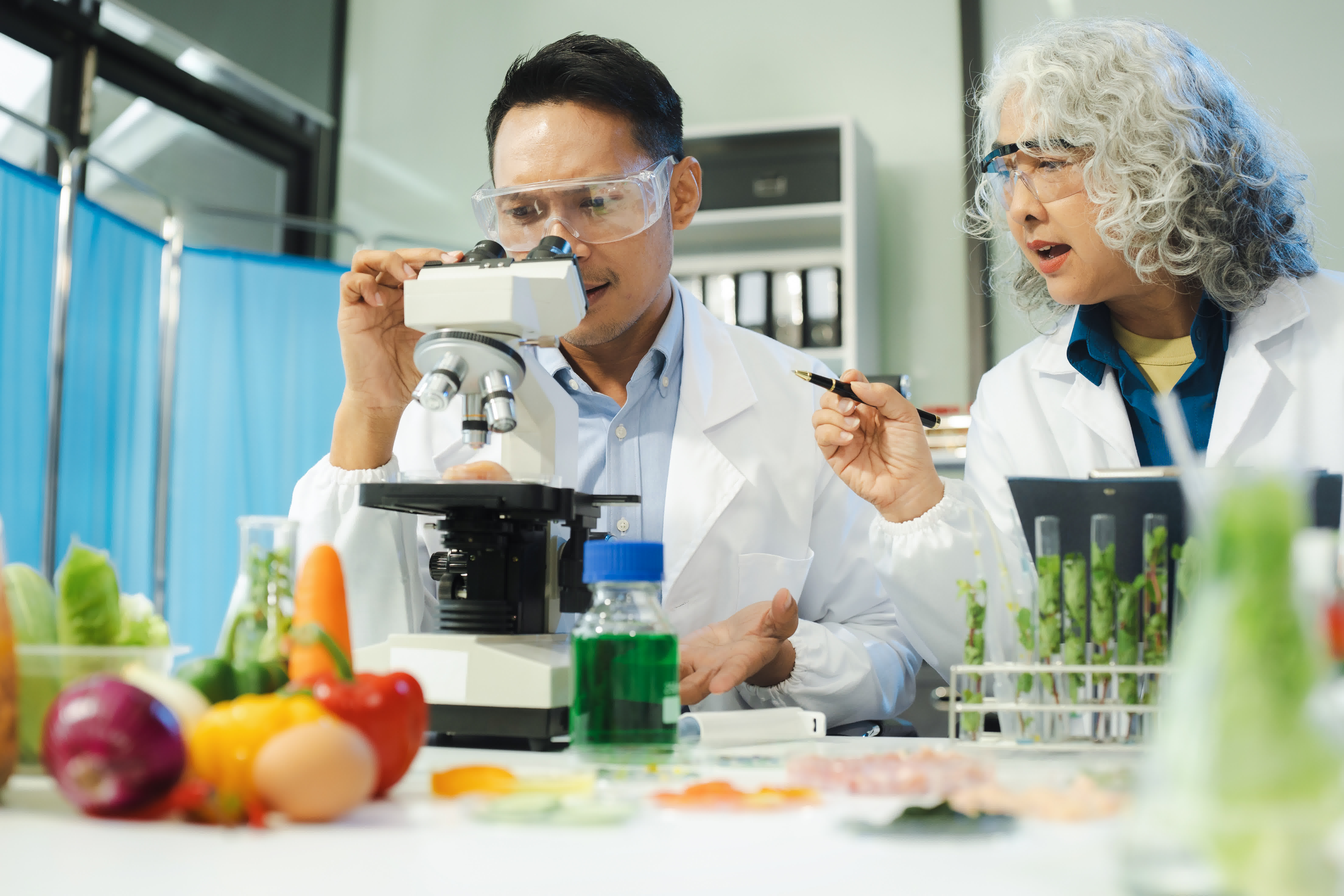 Food Safety Market