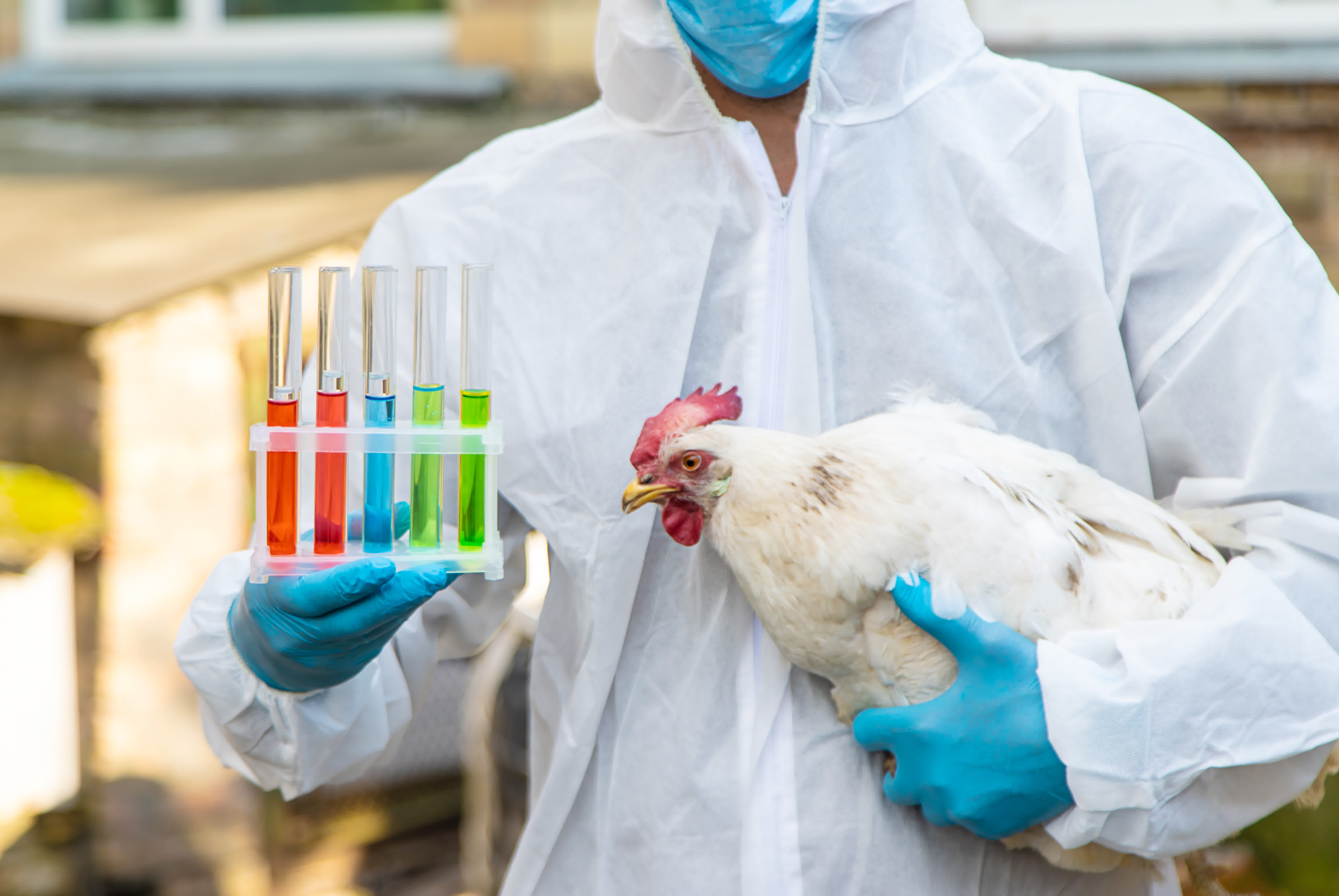 Lives Stock and Breeding Market